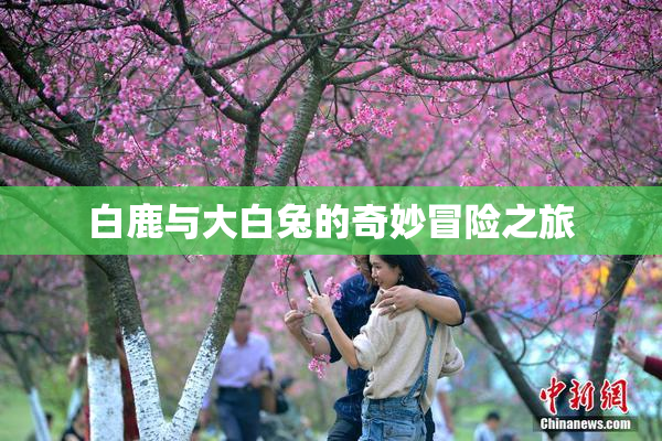 白鹿与大白兔的奇妙冒险之旅