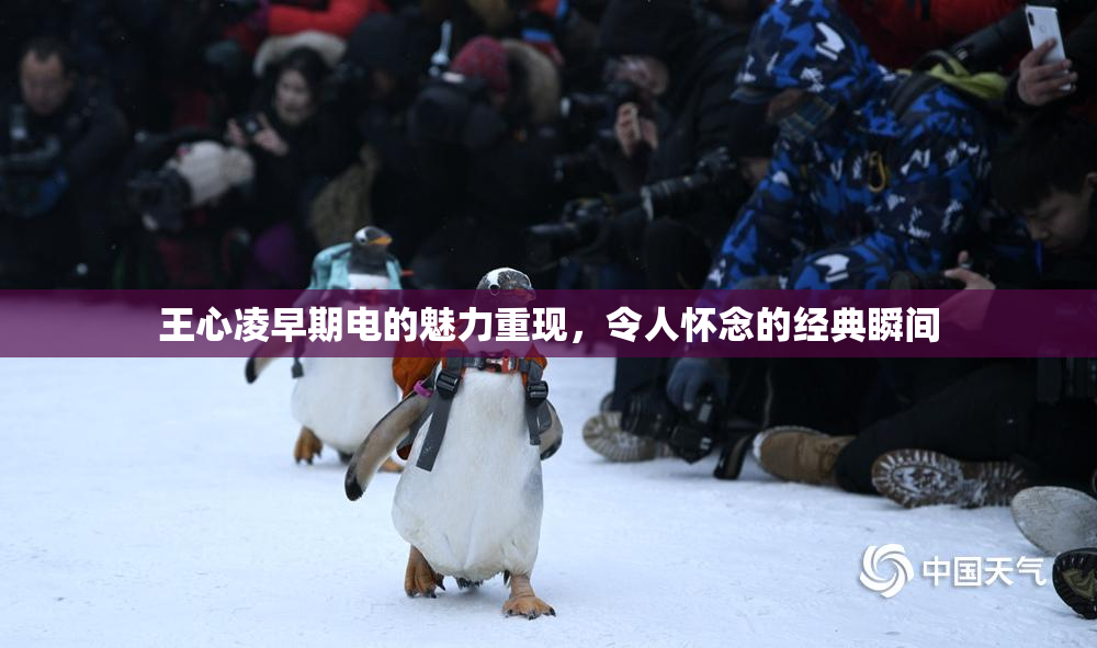 王心凌早期电的魅力重现，令人怀念的经典瞬间