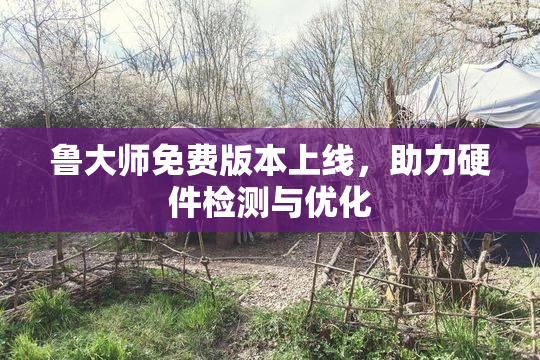 鲁大师免费版本上线，助力硬件检测与优化