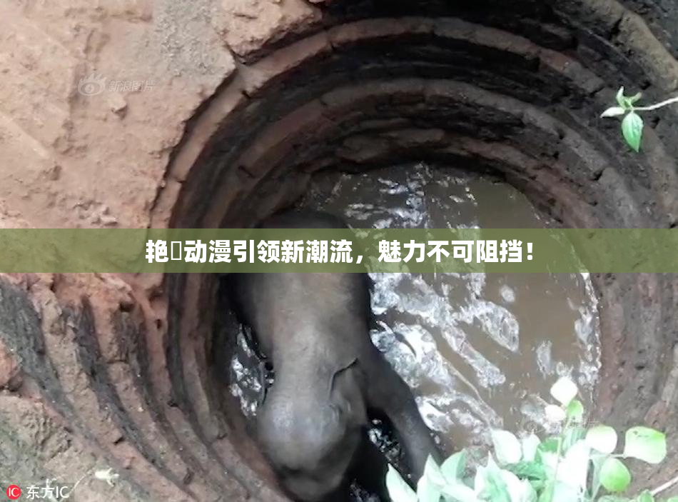 艳鉧动漫引领新潮流，魅力不可阻挡！