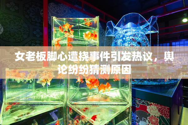 女老板脚心遭挠事件引发热议，舆论纷纷猜测原因