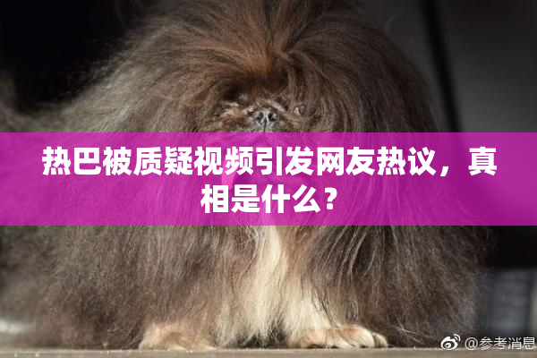 热巴被质疑视频引发网友热议，真相是什么？