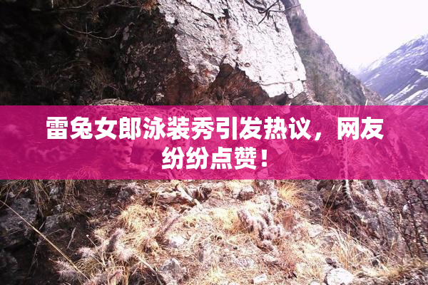 雷兔女郎泳装秀引发热议，网友纷纷点赞！