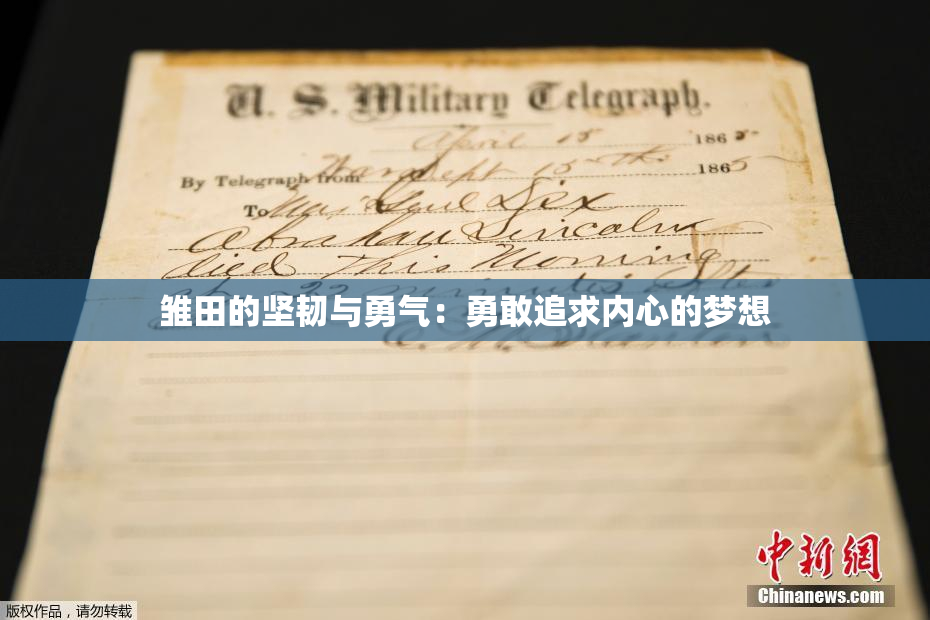 雏田的坚韧与勇气：勇敢追求内心的梦想