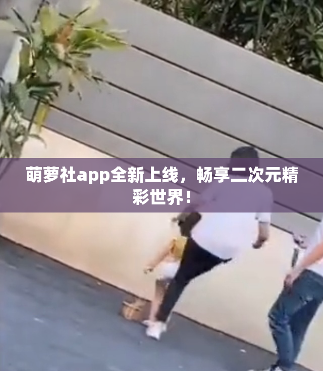 萌萝社app全新上线，畅享二次元精彩世界！