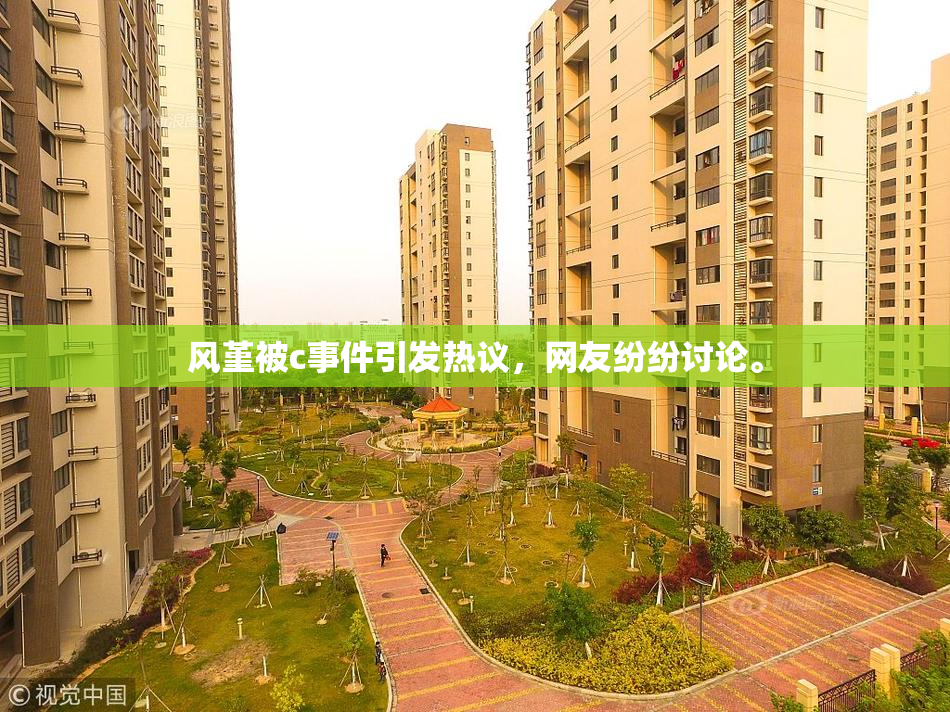 风堇被c事件引发热议，网友纷纷讨论。