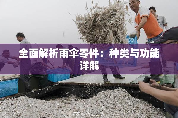 全面解析雨伞零件：种类与功能详解