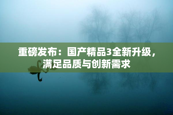 重磅发布：国产精品3全新升级，满足品质与创新需求