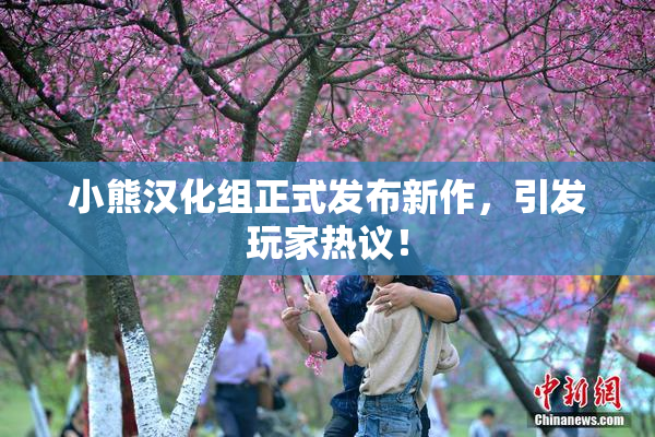 小熊汉化组正式发布新作，引发玩家热议！
