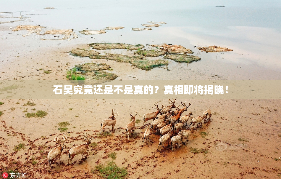 石昊究竟还是不是真的？真相即将揭晓！