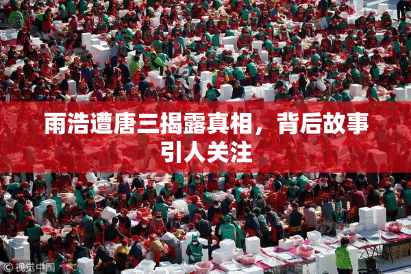 雨浩遭唐三揭露真相，背后故事引人关注