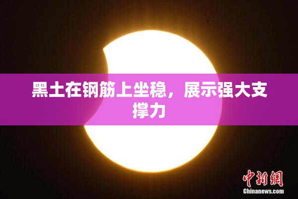 黑土在钢筋上坐稳，展示强大支撑力