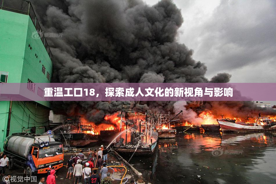 重温工口18，探索成人文化的新视角与影响
