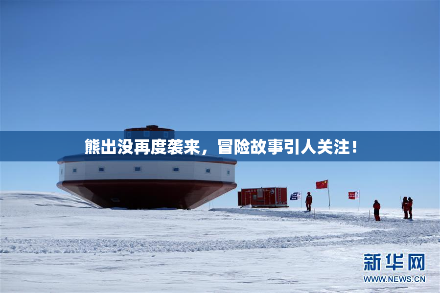 熊出没再度袭来，冒险故事引人关注！