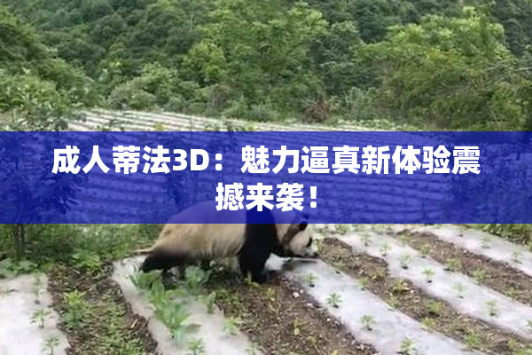 成人蒂法3D：魅力逼真新体验震撼来袭！