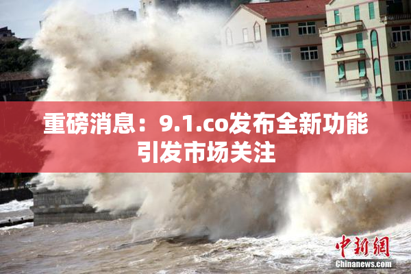 重磅消息：9.1.co发布全新功能引发市场关注