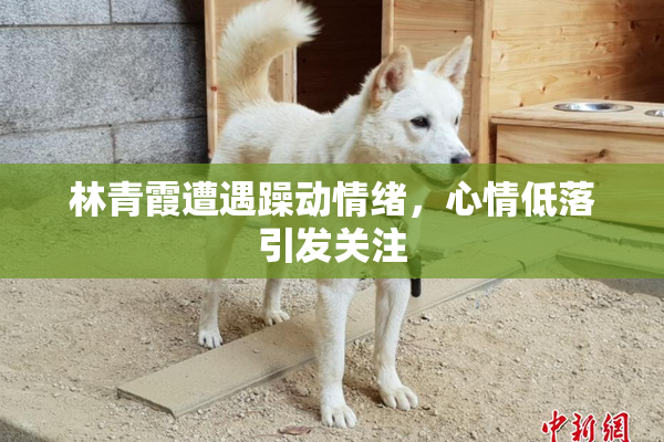 林青霞遭遇躁动情绪，心情低落引发关注