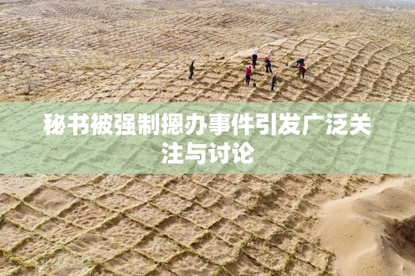 秘书被强制摁办事件引发广泛关注与讨论