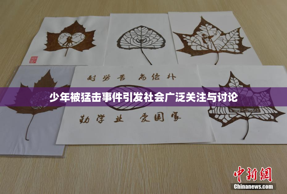 少年被猛击事件引发社会广泛关注与讨论