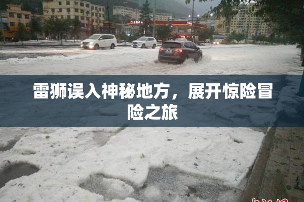 雷狮误入神秘地方，展开惊险冒险之旅