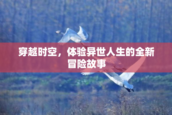 穿越时空，体验异世人生的全新冒险故事