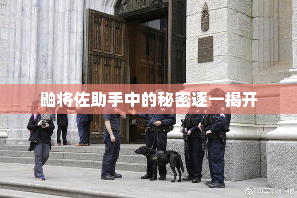 鼬将佐助手中的秘密逐一揭开