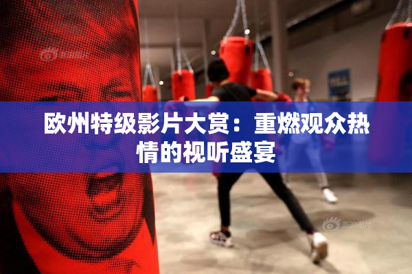 欧州特级影片大赏：重燃观众热情的视听盛宴