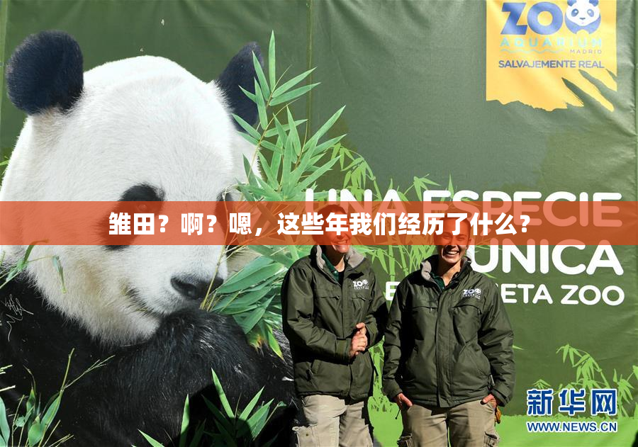 雏田？啊？嗯，这些年我们经历了什么？