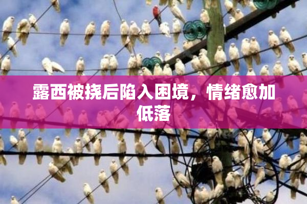 露西被挠后陷入困境，情绪愈加低落