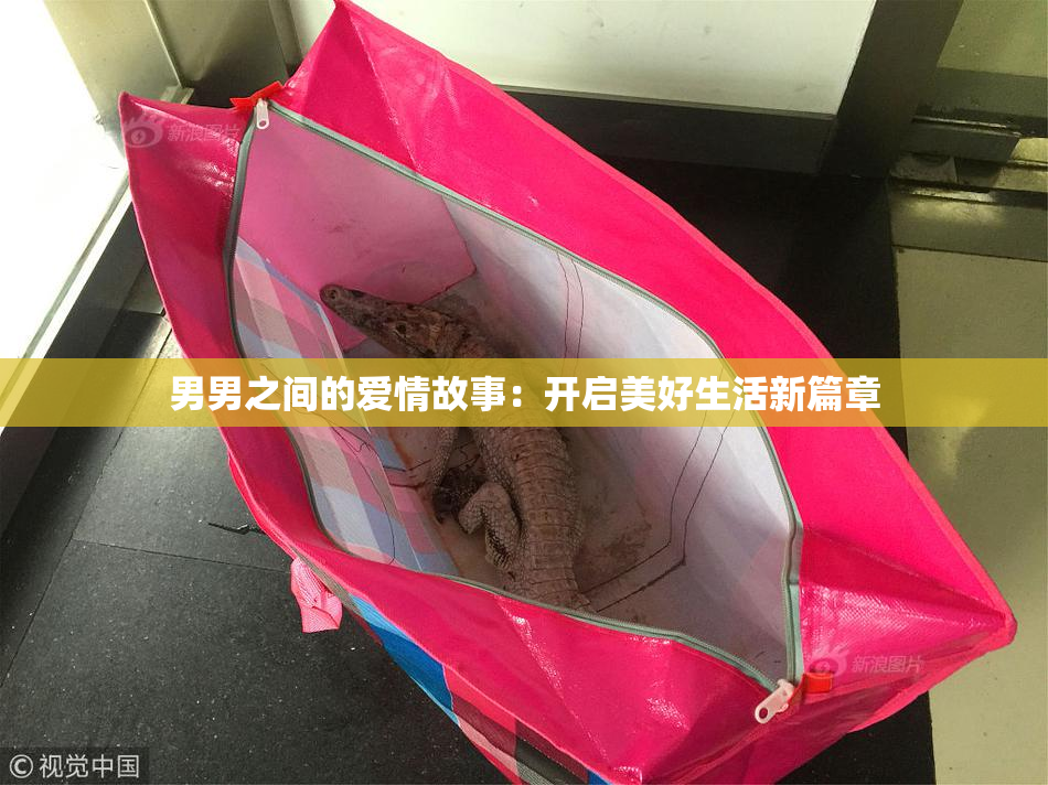 男男之间的爱情故事：开启美好生活新篇章