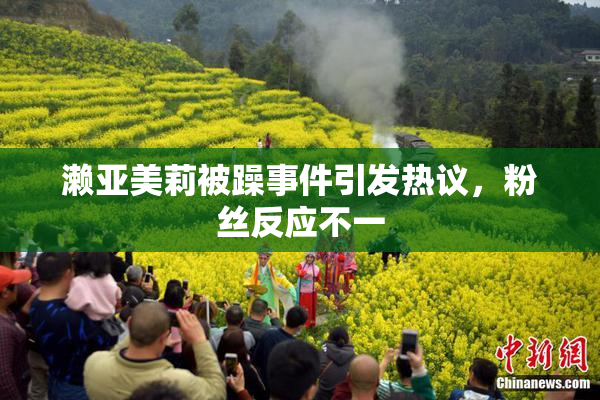 濑亚美莉被躁事件引发热议，粉丝反应不一
