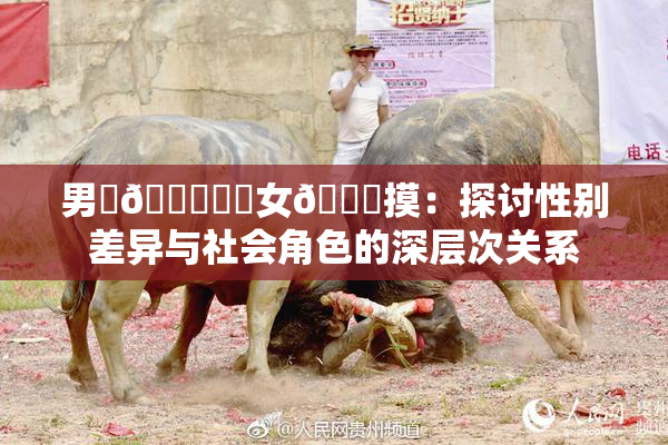 男‌🍌❌‌女🍑摸：探讨性别差异与社会角色的深层次关系