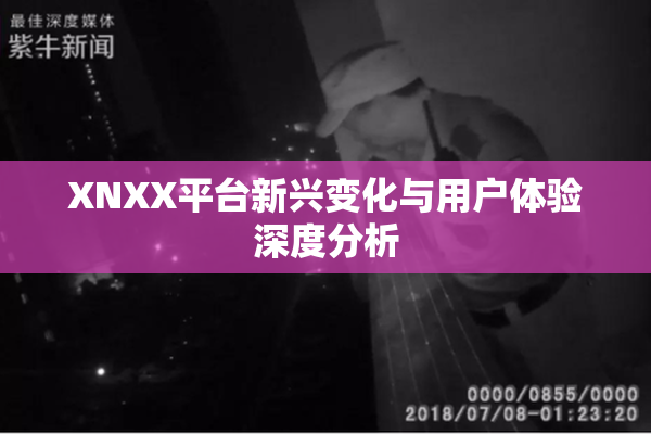 XNXX平台新兴变化与用户体验深度分析