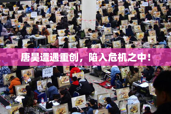 唐昊遭遇重创，陷入危机之中！
