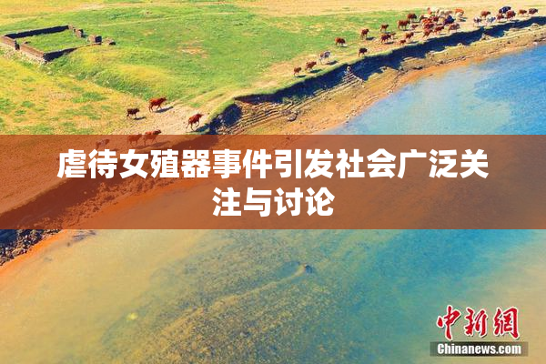 虐待女殖器事件引发社会广泛关注与讨论