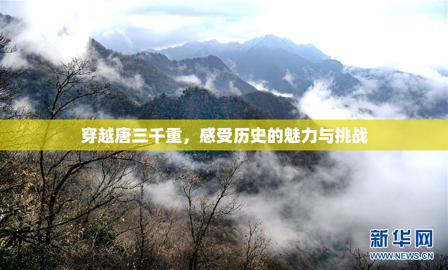 穿越唐三千重，感受历史的魅力与挑战