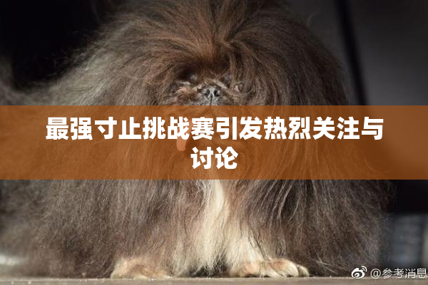 最强寸止挑战赛引发热烈关注与讨论