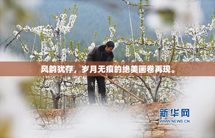 风韵犹存，岁月无痕的绝美画卷再现。