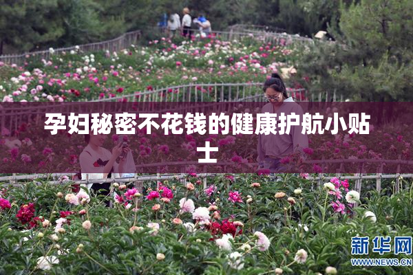 孕妇秘密不花钱的健康护航小贴士