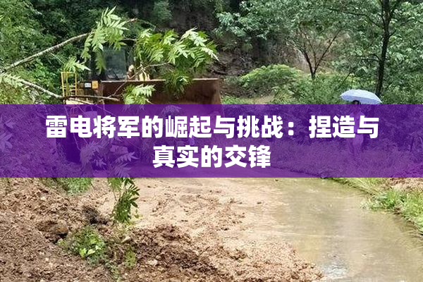 雷电将军的崛起与挑战：捏造与真实的交锋