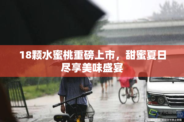 18颗水蜜桃重磅上市，甜蜜夏日尽享美味盛宴