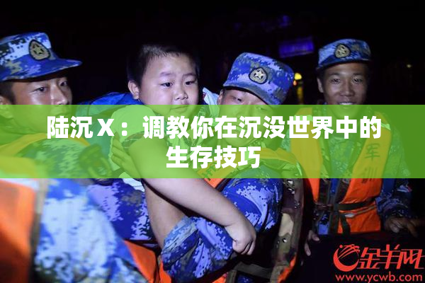 陆沉Ⅹ：调教你在沉没世界中的生存技巧