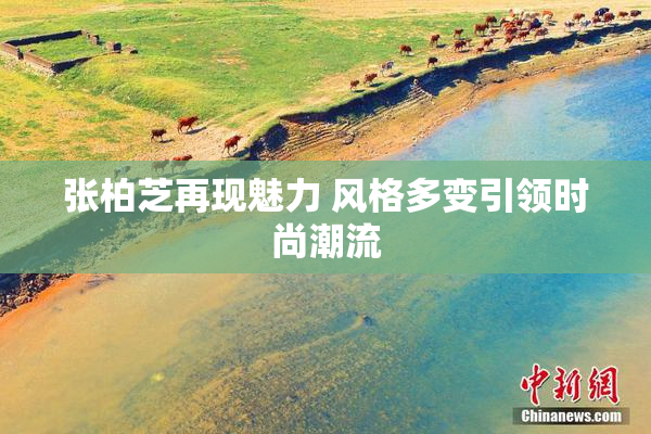 张柏芝再现魅力 风格多变引领时尚潮流