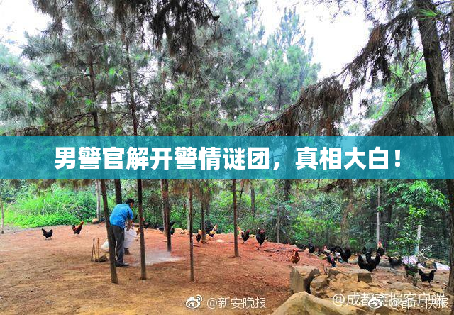 男警官解开警情谜团，真相大白！