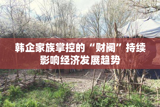 韩企家族掌控的“财阀”持续影响经济发展趋势