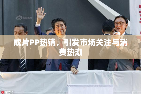 成片PP热销，引发市场关注与消费热潮