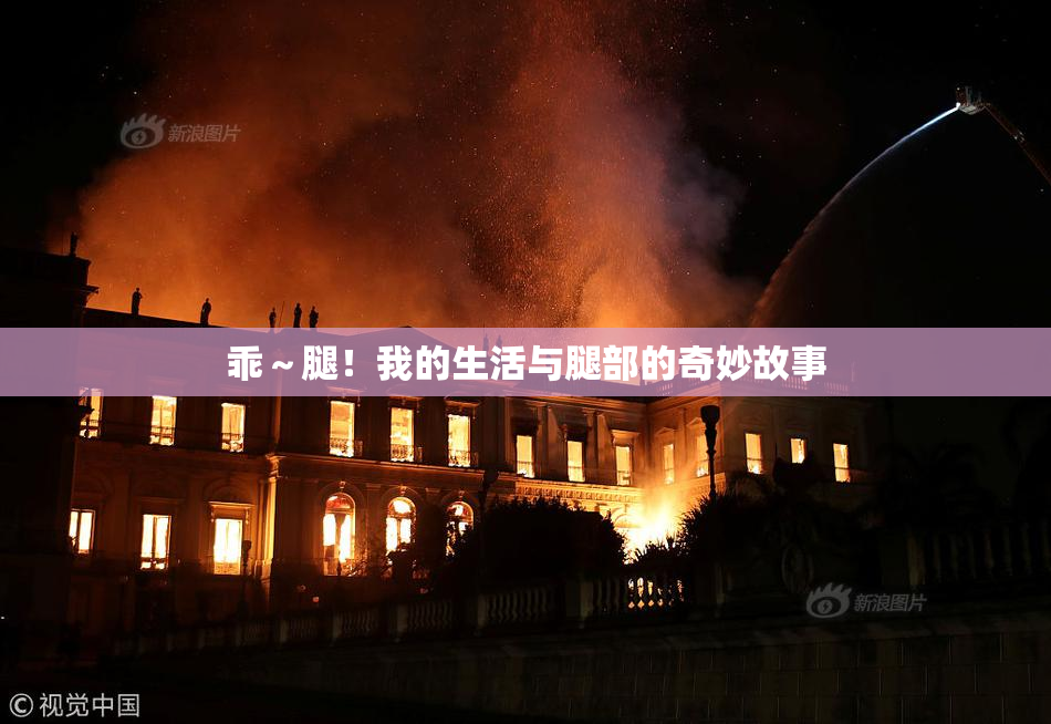 乖～腿！我的生活与腿部的奇妙故事