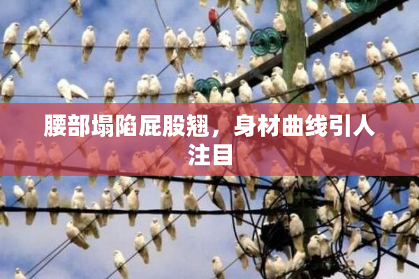 腰部塌陷屁股翘，身材曲线引人注目