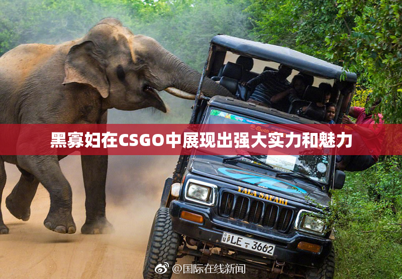 黑寡妇在CSGO中展现出强大实力和魅力