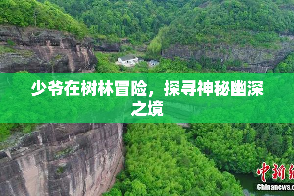 少爷在树林冒险，探寻神秘幽深之境